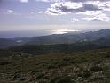 DSC00208